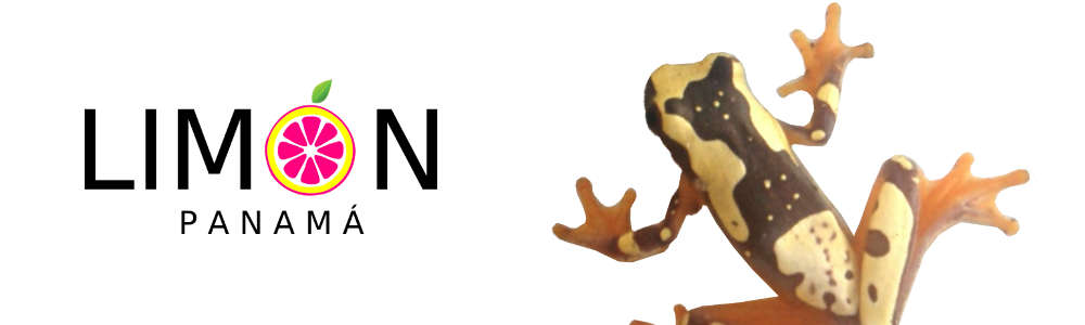 limon-campana-golden-frog